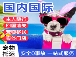福州长乐机场空运国际宠物托运 【国